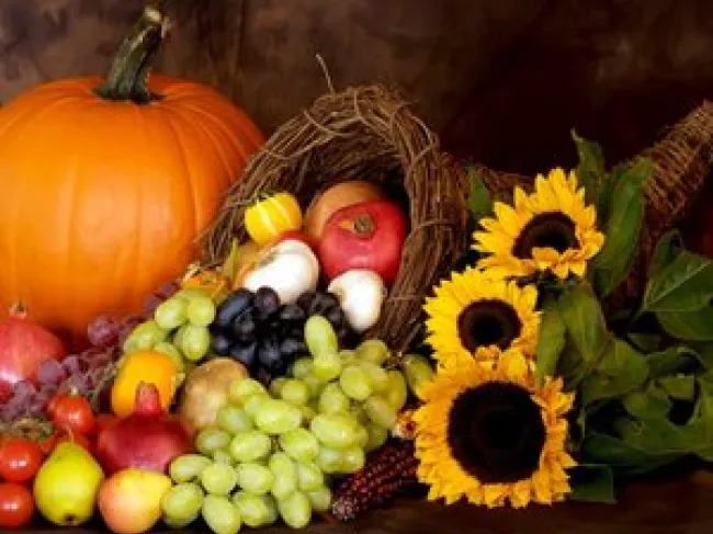 Thanksgiving Is a Celebration of Free Enterprise